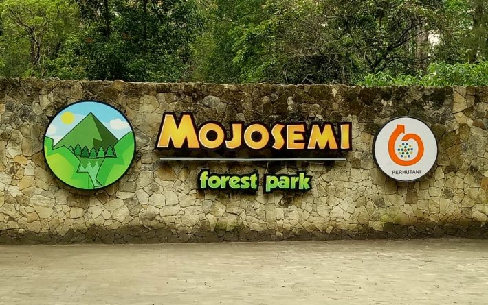 √ Tempat Wisata Outbound di Mojosemi Forest Park Magetan