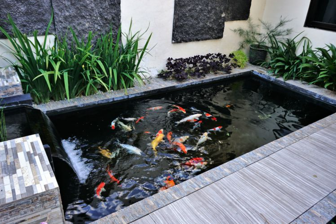 √ 20+ Desain Kolam Ikan untuk Taman di Rumah Anda!